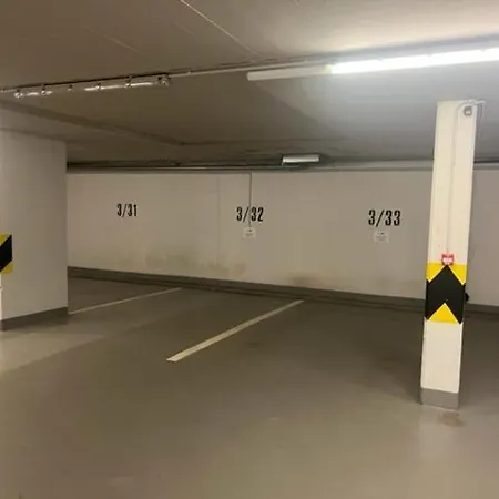 Medvědín
